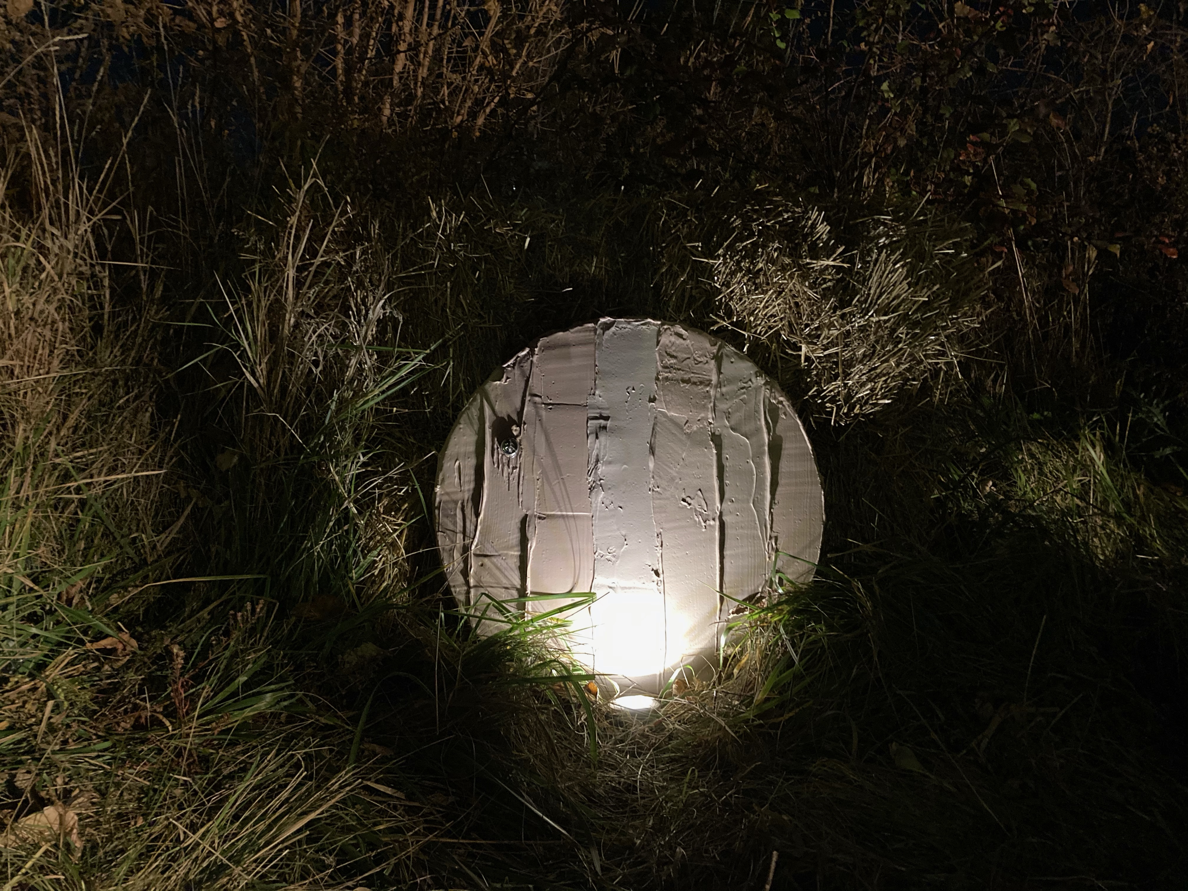 ISawSomethingInTheFields.LydiaKuzak,